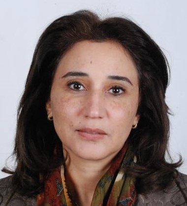 H.E. Dr. Lamia Fathi ABUSEDRA