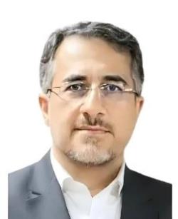 Dr. S.Mohammad Razavizadeh