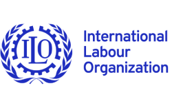 International Labour Organization(ILO)