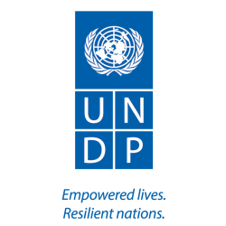 Dr. UNDP Representative
