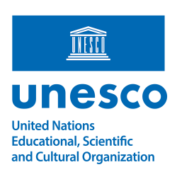 Mr. UNESCO Representative
