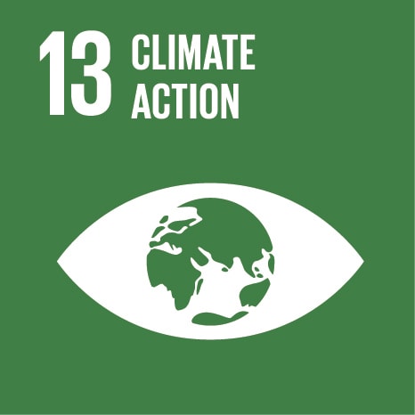 Goal 13 Climate Action