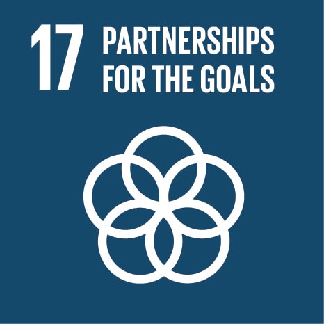 Goal 17 Partnerships for the Goals