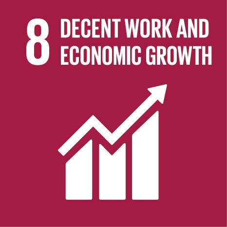 Goal 8 Decent Work and Economic Growth
