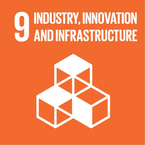 Goal 9 Industry, Innovation and Infrastructure