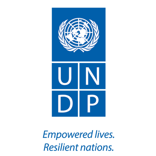 undp logo