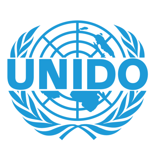 Cover image for UNIDO