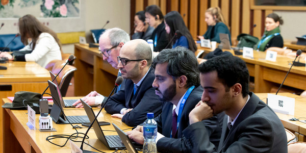 council-working-experts-group