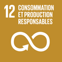 Responsible Consumption and Production