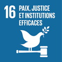 Peace, Justice and Strong Institutions